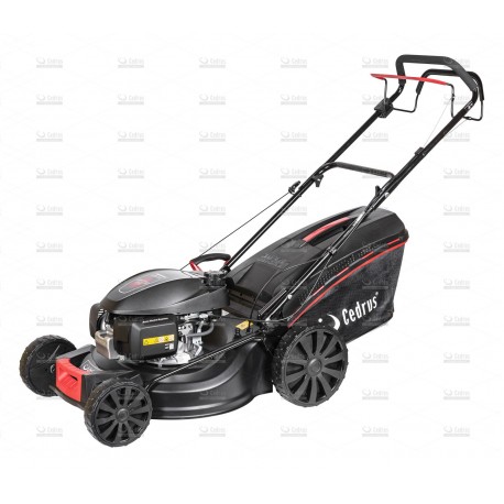 Kosiarka spalinowa Cedrus KS53H Honda GCV170 3w1