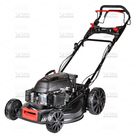 Kosiarka spalinowa Cedrus KS53S-E